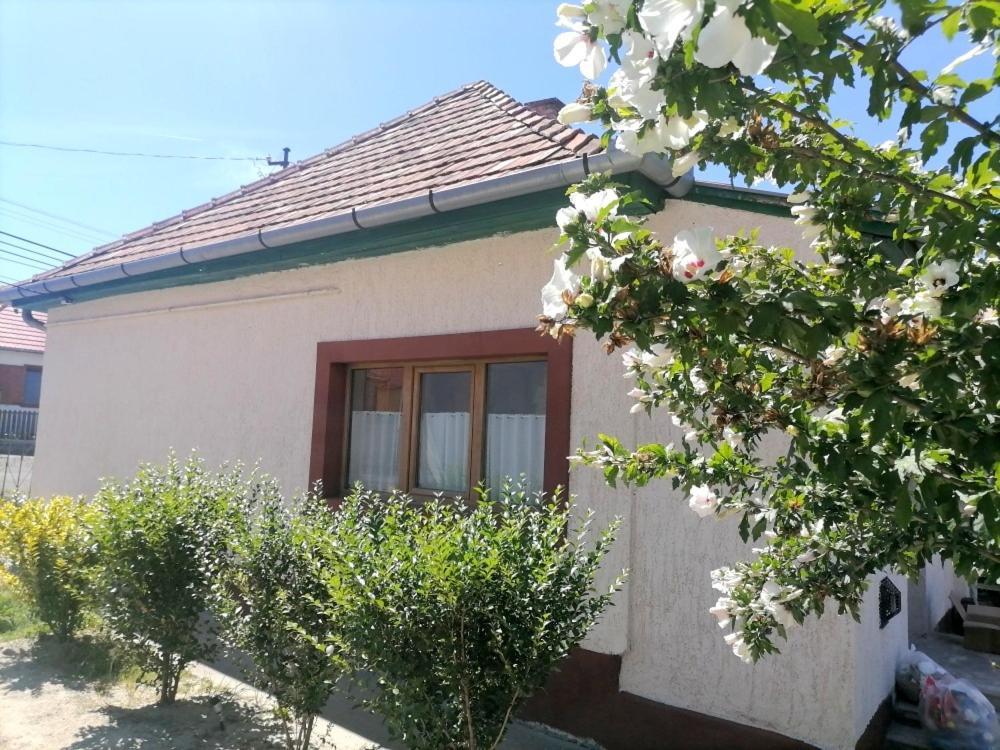 Lankas Vendeghaz - Holloko Villa Exteriör bild